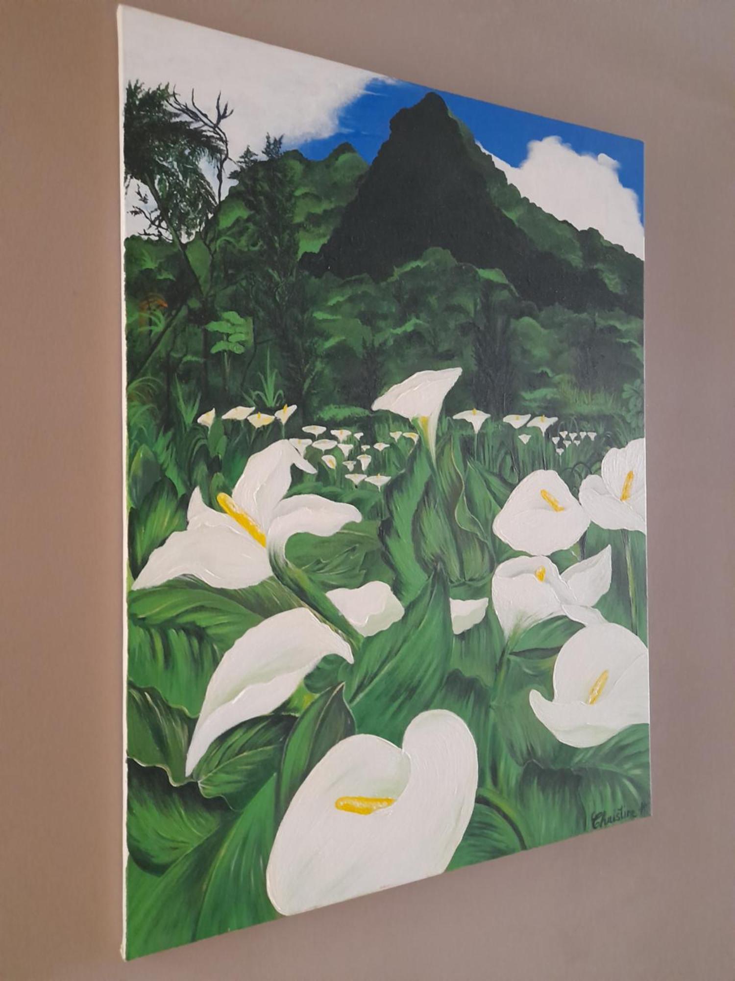 Chez Marie Villa La Plaine des Palmistes Luaran gambar
